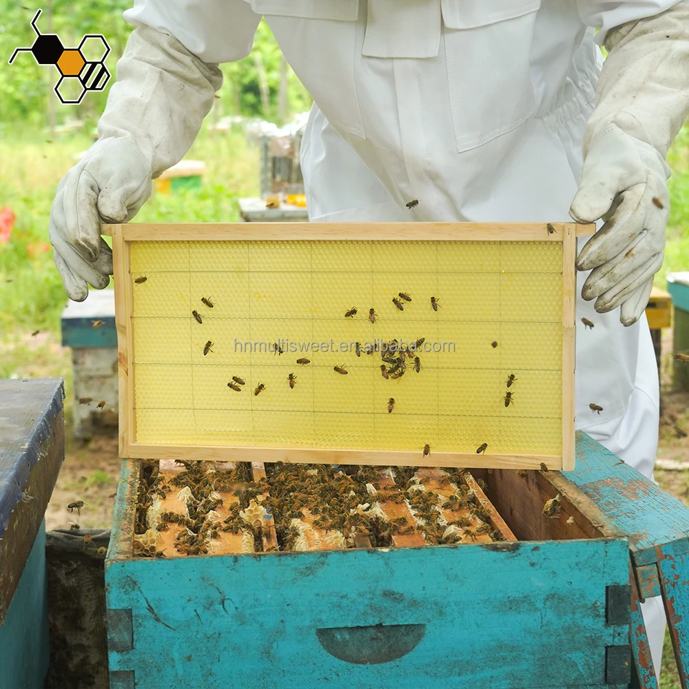 Natural Beekeeping Beeswax Foundation Sheet Honey Comb Bee Wax Foundation