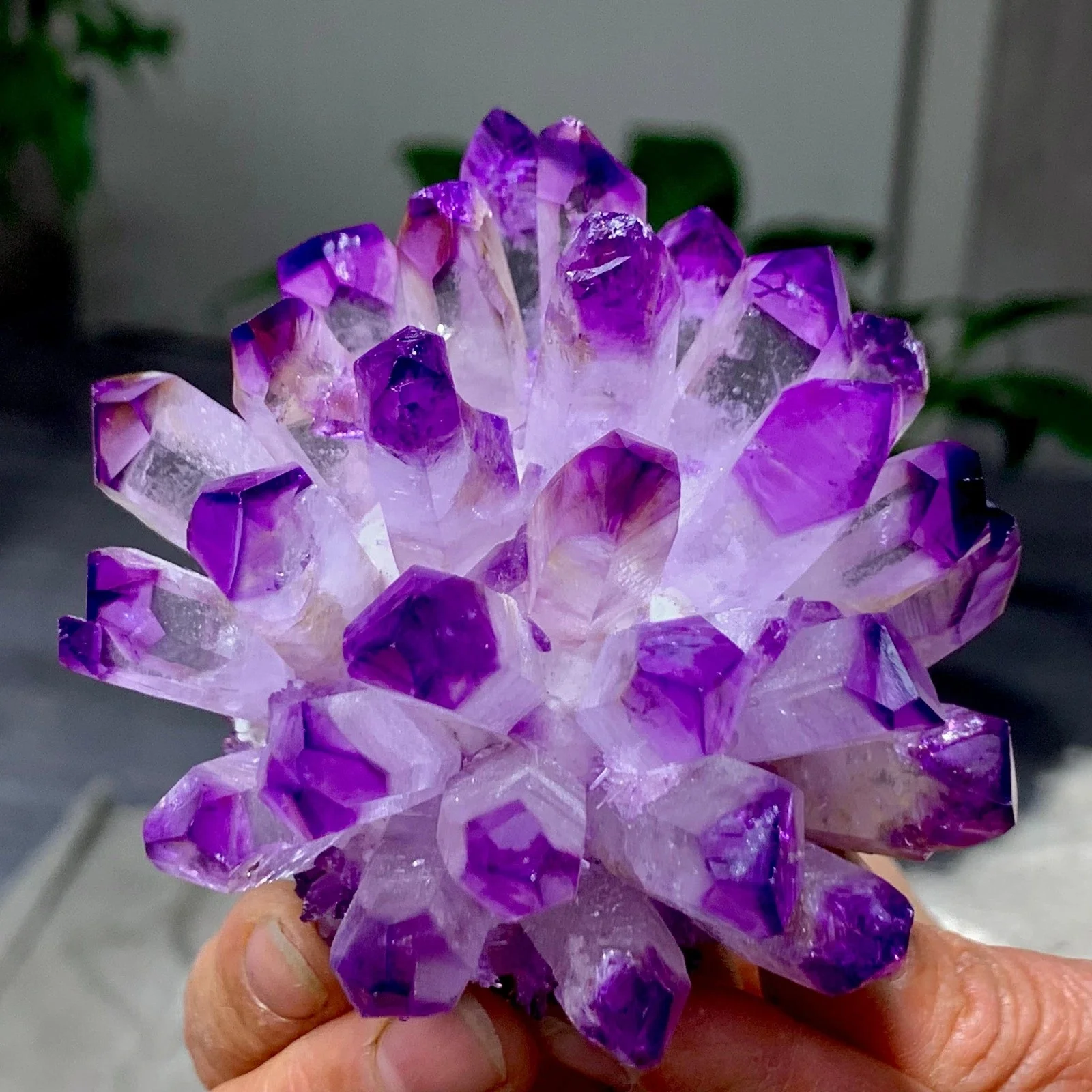 Newly discovered purple phantom crystal quartz cluster mineral healing