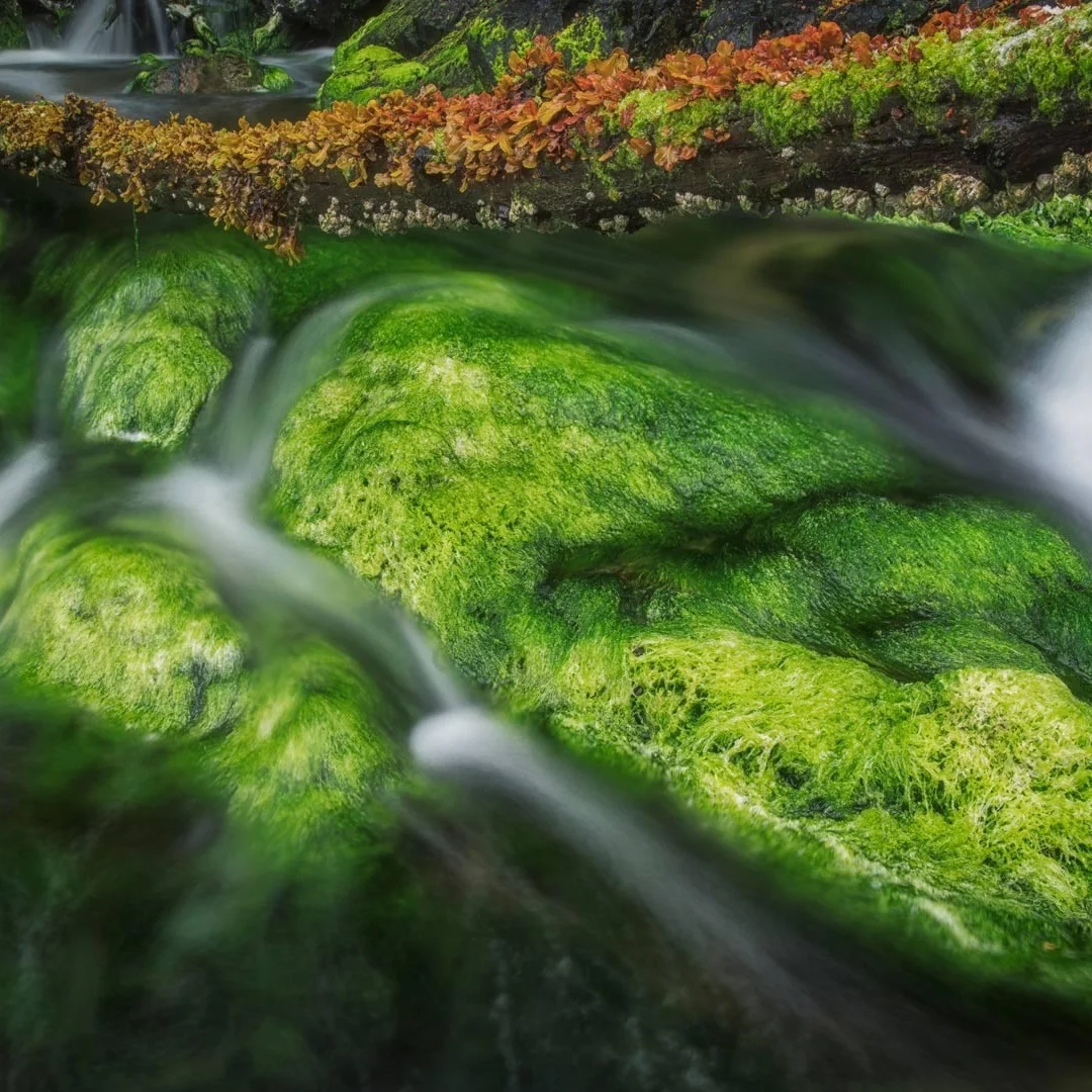 

15.8 Inch Car Radio Head Unit Carplay Auto Multimedia Monitors For BMW X3 F25 X4 F26 Android 14 Car Accessories Navigation DSP