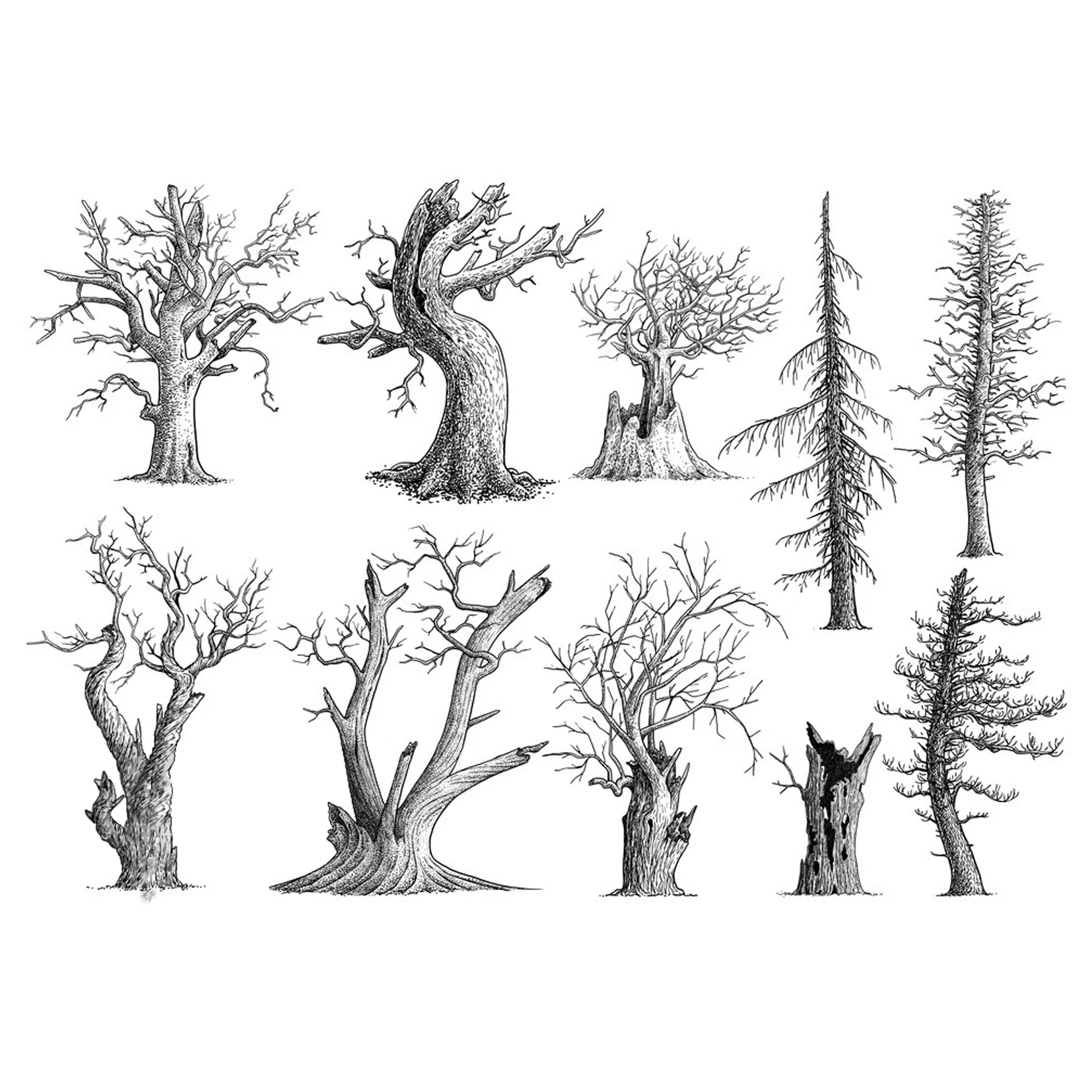 

Tree Clear Stamps Scrapbooking Crafts Decorate Photo Album Embossing Cards Making Clear Stamps New