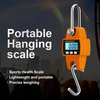 500Kg Lightweight Portable Hanging Scale Electronic Scale Hanging Scale Traveling Scale Portable Mini Electronic Hook