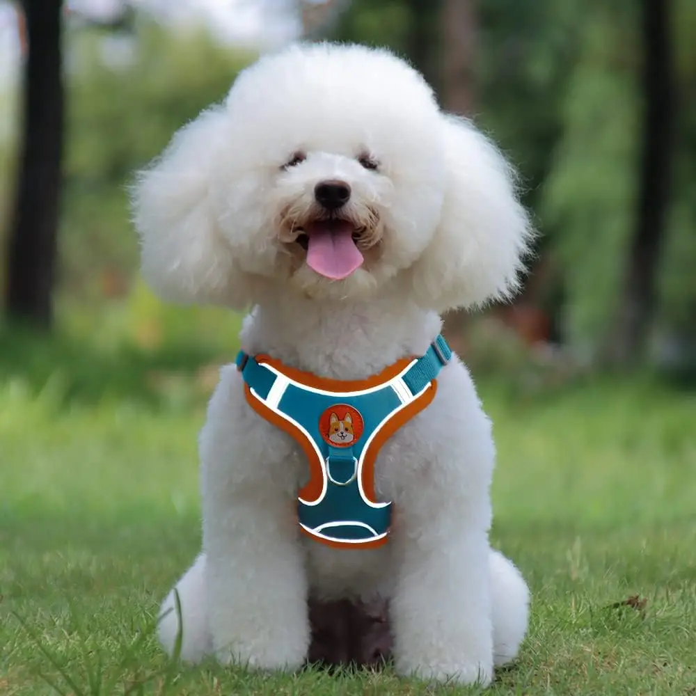 Pet Harness Vest Dogs Chest Strap Rope Reflective Dog Traction Rope Retractable for Small Dog Cat Traction Set Pet Accessories