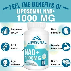 Liposome NAD+Supplement 1000mg Maximum Absorbed Energy and DNA Repair 60 Soft Capsules