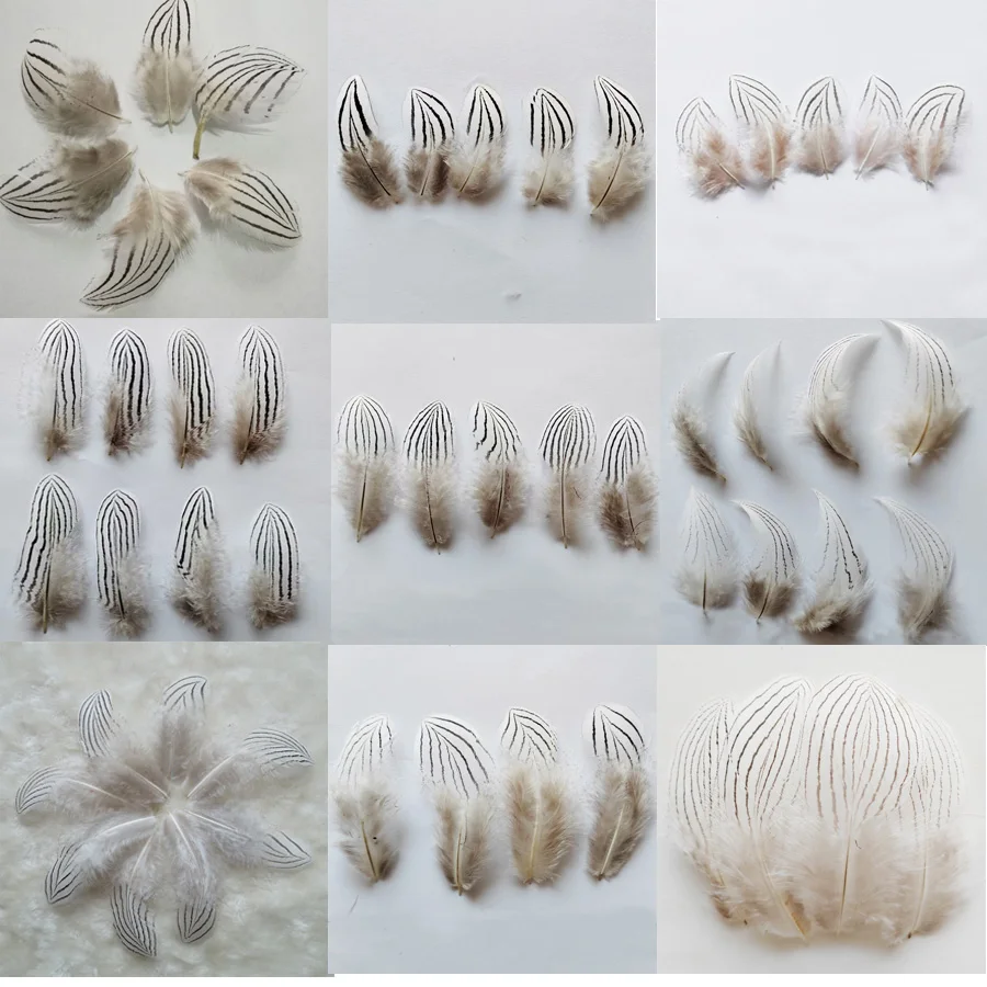 50Pcs/Lot!4-12cm Long Natural Plume, SILVER PHEASANT BODY PLUMAGE FEATHERS Natural White Black Fly/Fishing/Craft