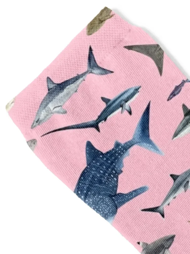 جوارب SHARKS باللون الوردي مضادة للانزلاق مصممة رياضية مخصصة للأولاد جوارب نسائية