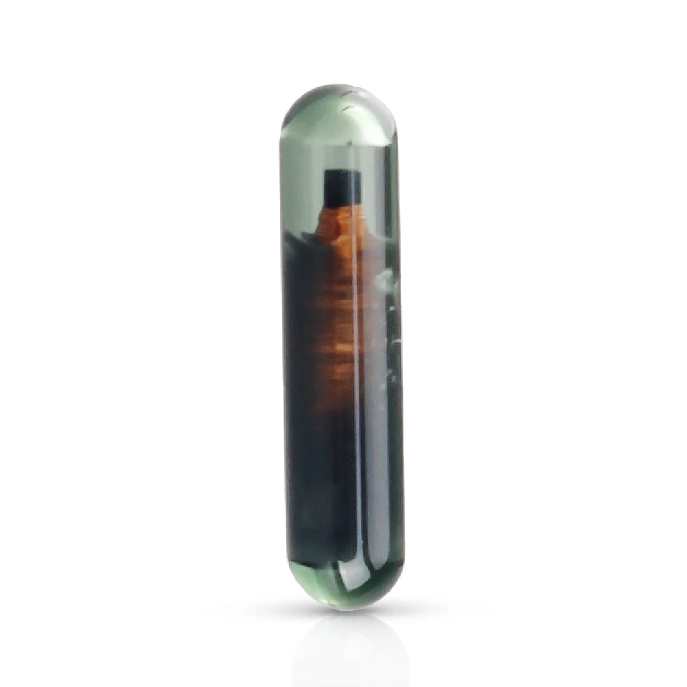 KEYYOU 1x Car Key Chips ID13 TP03 Blank Auto Transponder Chip ID 13 Chip Glass ID13 Transponder Chip For Honda Key
