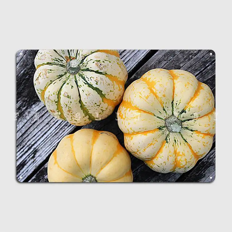 It´S Harvest Time And These Three Harlequin Squashes Metal Sign Personalized Club Wall Plaque Party Tin Sign Poster