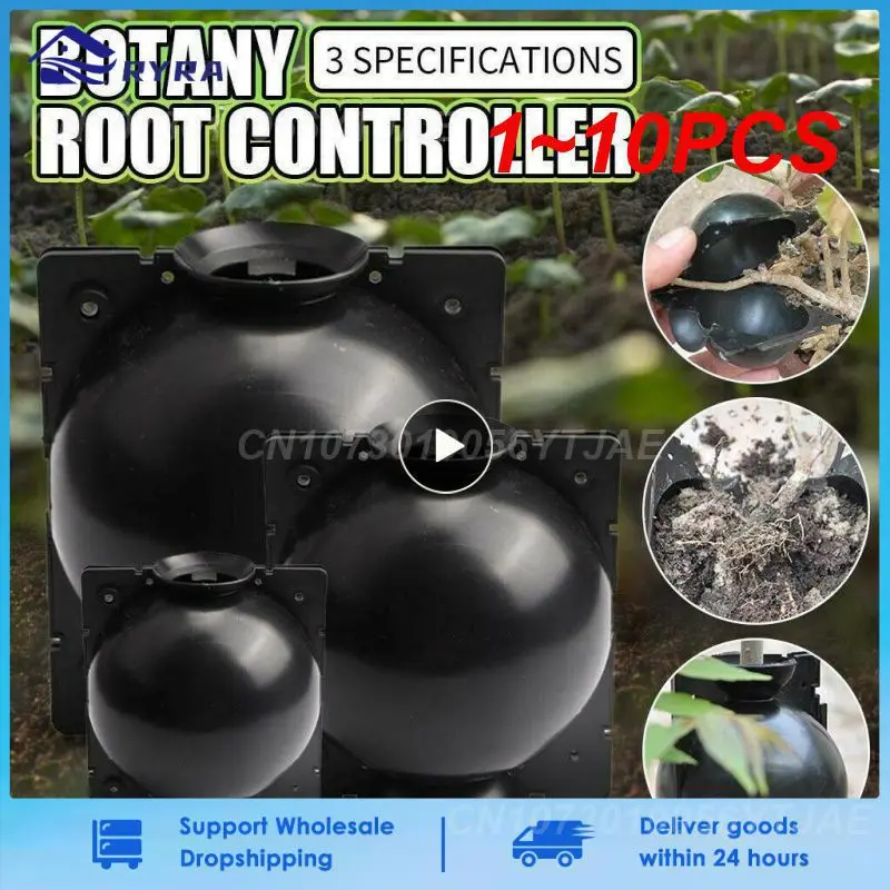 1 ~ 10 SZTUK Pudełko do uprawy korzeni roślin wielokrotnego użytku Cięcie Szczepienie Pudełko do ukorzeniania ogrodu Kula do rozmnażania S Sprzęt do hodowli