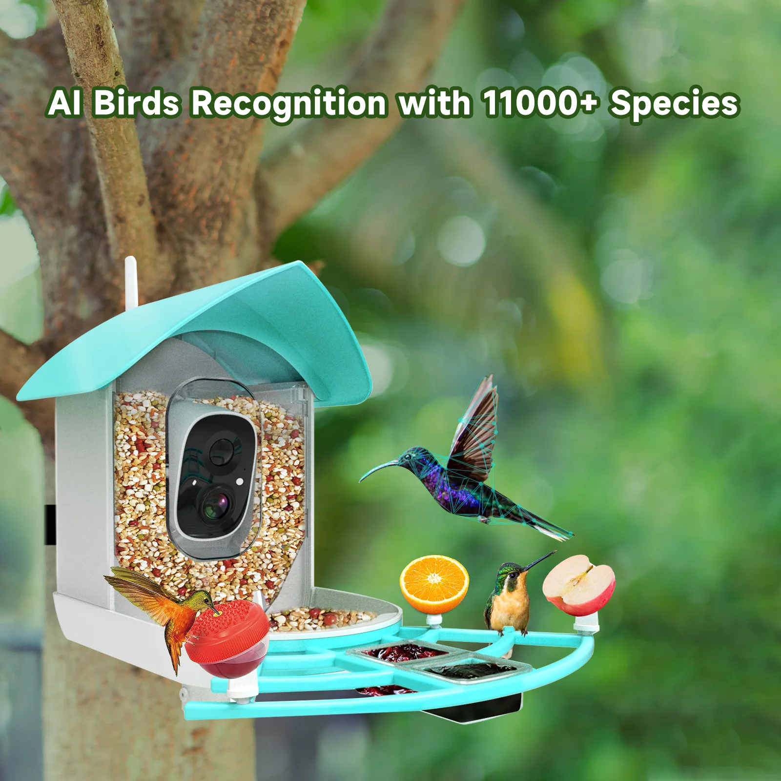 Smart Bird Feeder with Camera High Resolution PIR Motion Detection AI Intelligent Recognition Birds Species Solar Powered 1080P