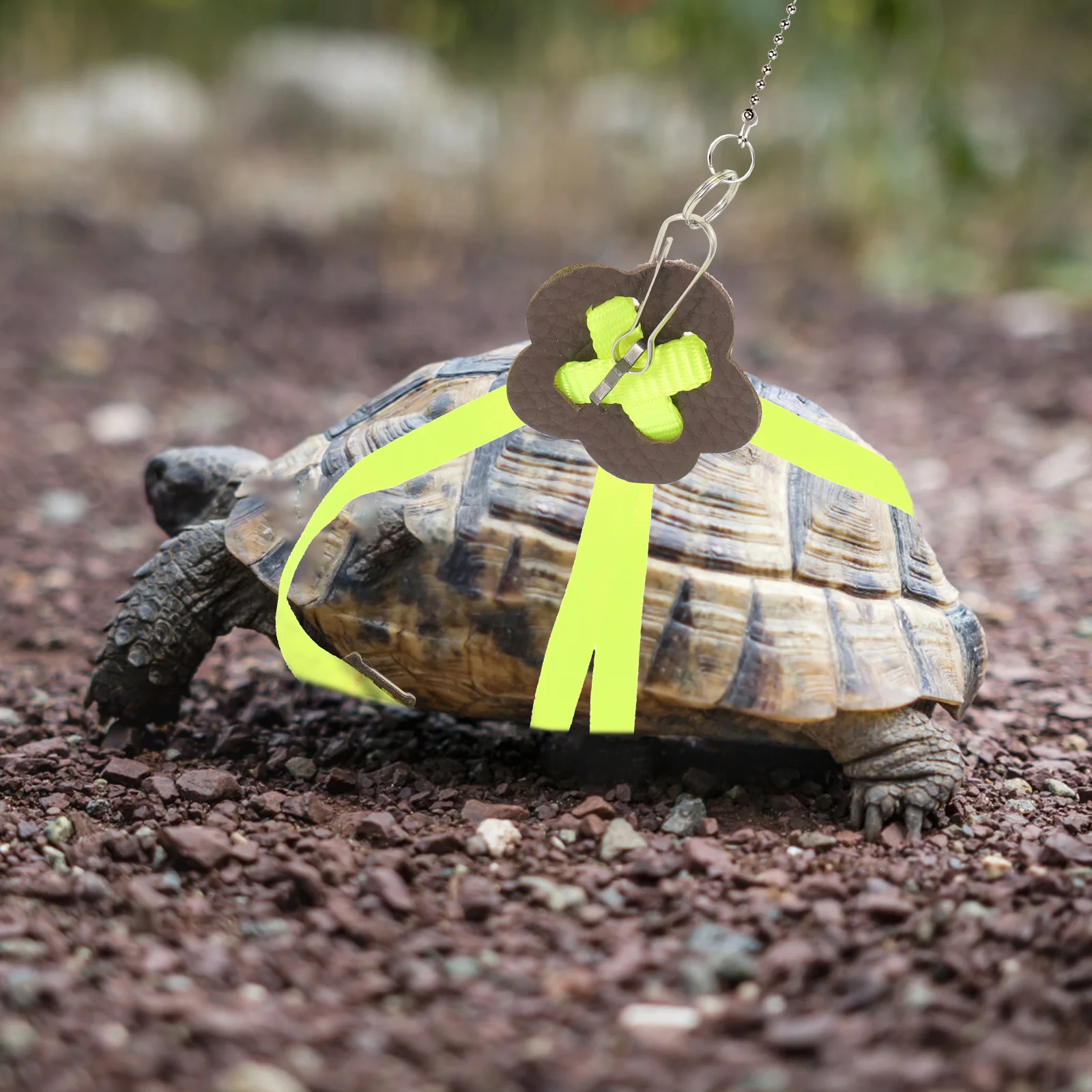 

Pet Traction Reptile Leash Turtle Lead Soft Faux Turtle Lead Harness for Training Small Pets Collar leash