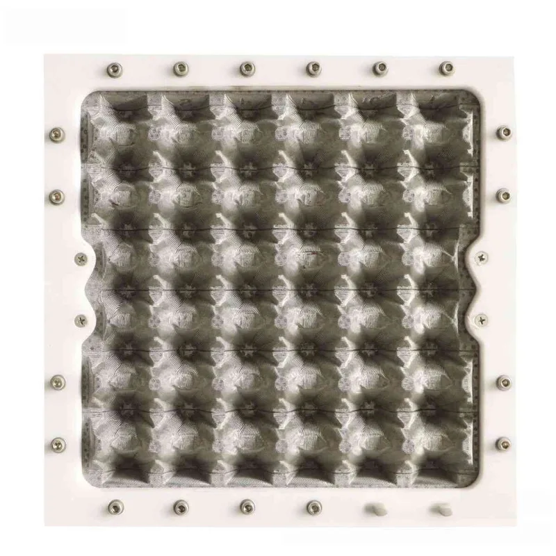 Fully Automatic Egg Tray Production Line Small Egg Tray Egg Tray Machine Pulp Molding Equipment Egg Tray Making Machine