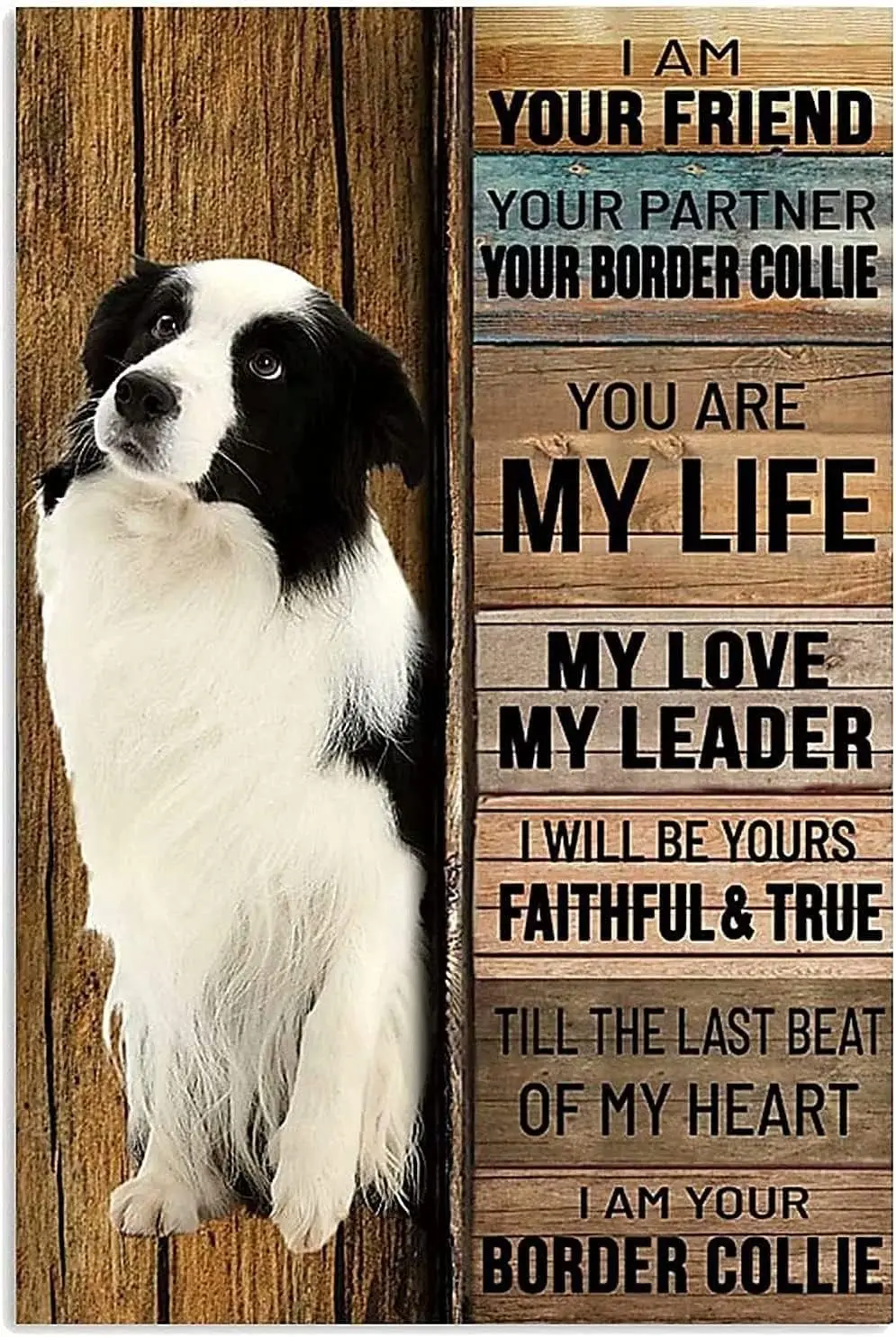 Vintage Border Collie Metal Tin Sign I Am Your Friend Your Partner Poster Wall Decor Gift For Cafe Farm Bedroom Restaurant Bathr