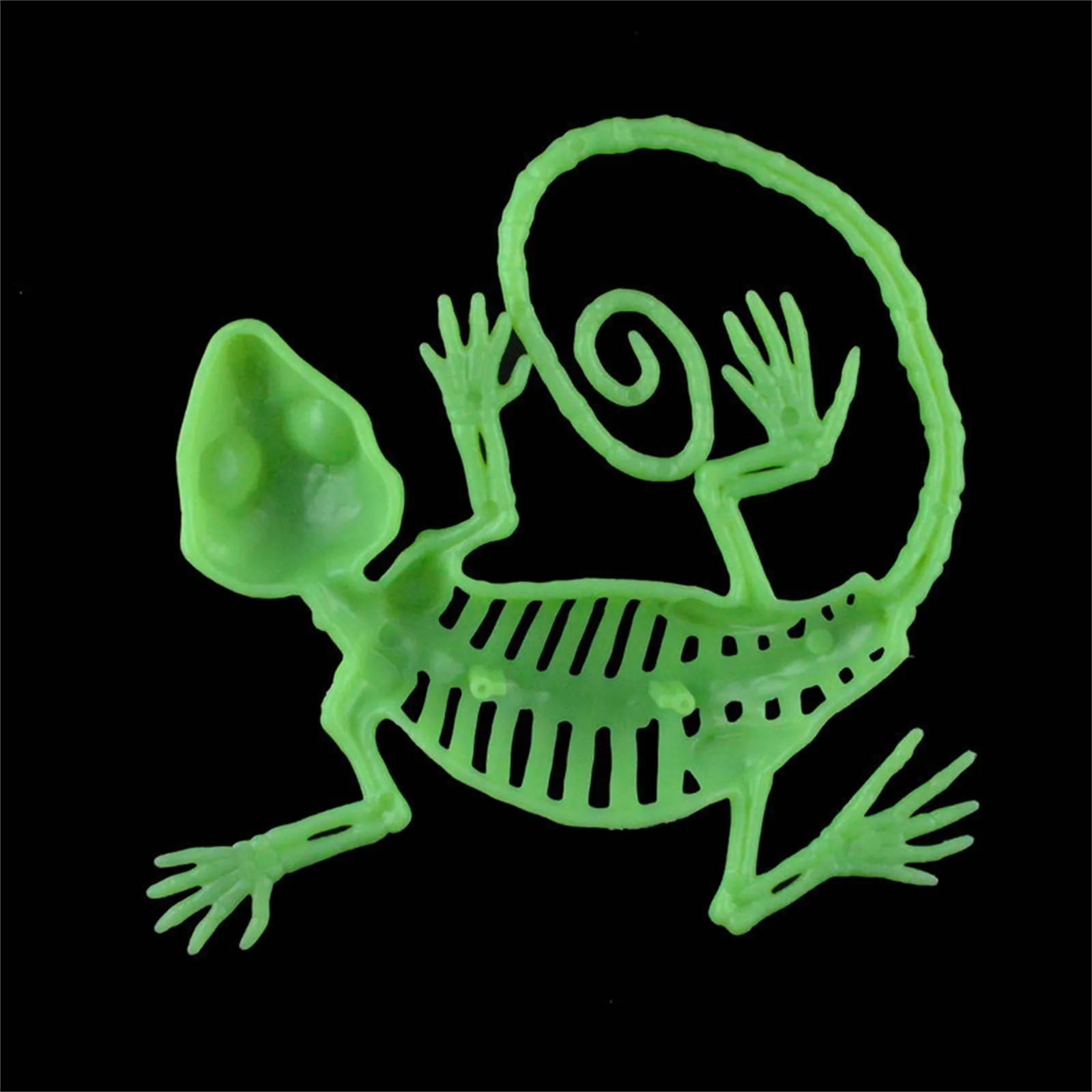 هالوين الهيكل العظمي الدعائم الهيكل العظمي أبو بريص زينة الهالوين زاحف ديكور حزب الدعائم ألعاب 4 أشهر