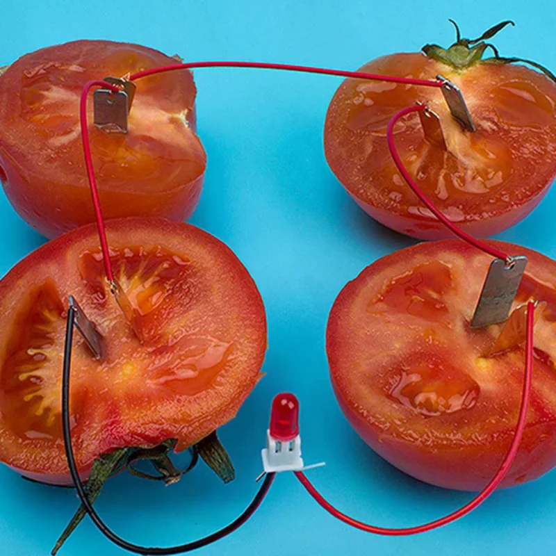 1 Set Children Bio Energy Science Kit Potato Fruit Supply Electricity Experiment