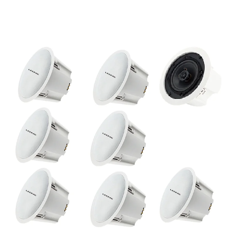 Professional Sound System Ceiling Large Power Speaker Original Sound Equipment From Factory Supply For Mobile Phones