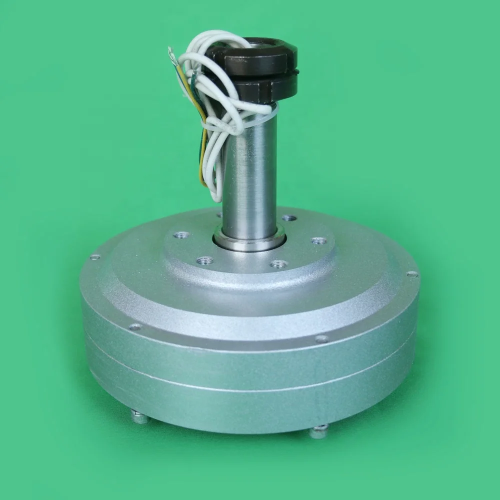 Factory 100w 300RPM 12V 24v 48v Coreless Permanent Magnet PMG Alternator Maglev Disc Outer Rotator Generator