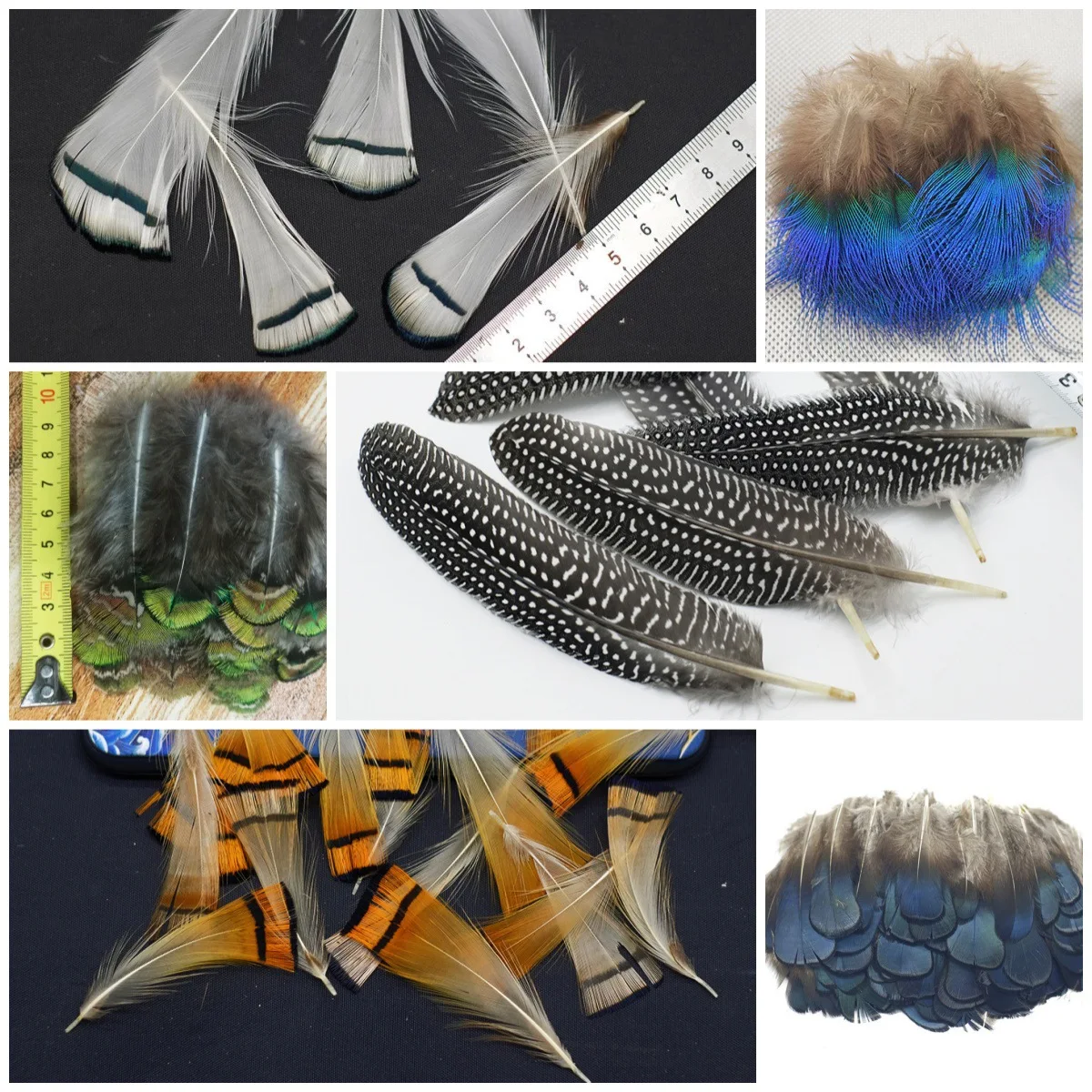 

Перо павлина, медная курица, зеленая кусок, синяя кусок, золотая деталь, жемчужное гнездо, нож Ling, украшение для домашней одежды