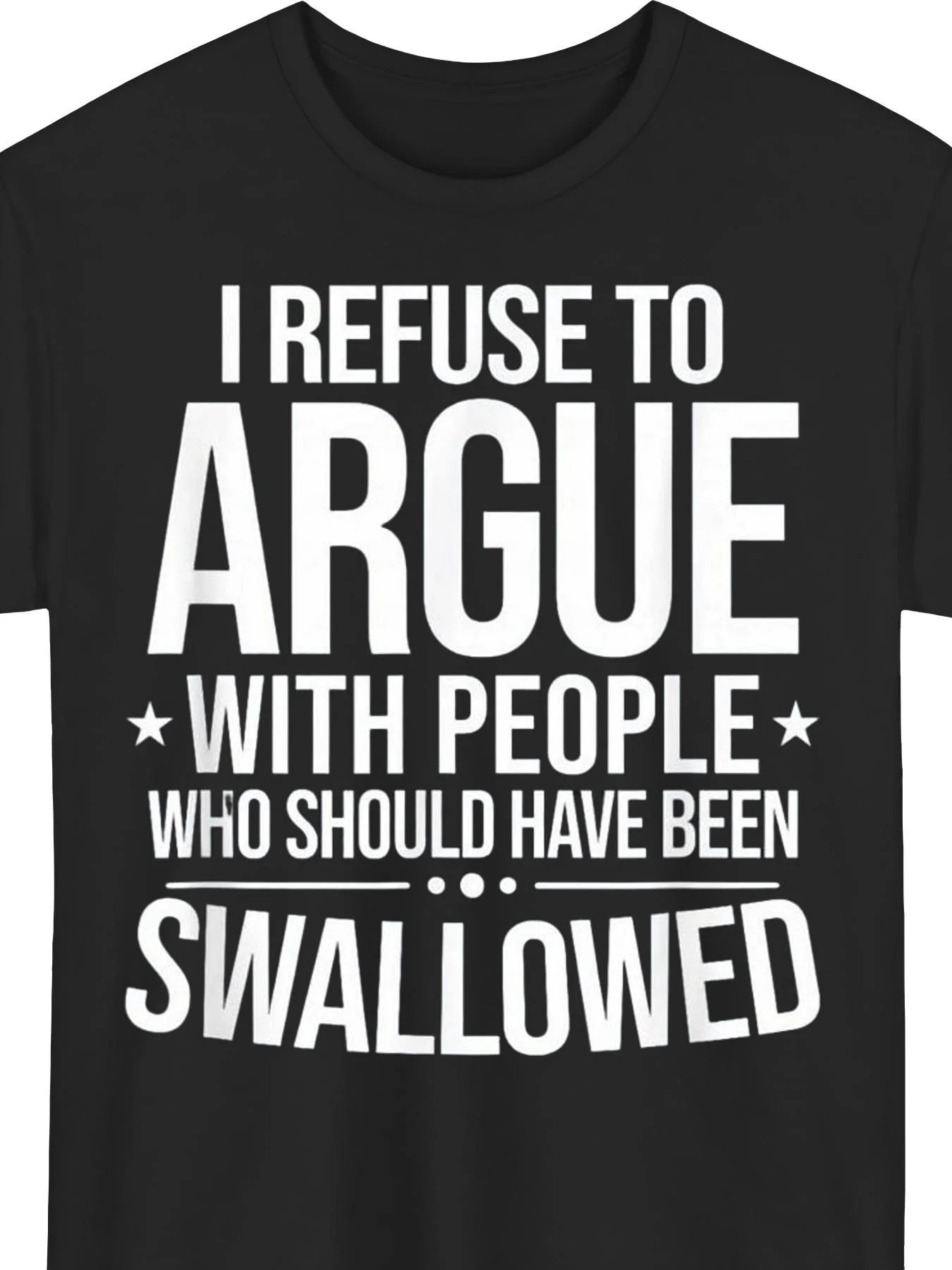 I Refuse to Argue with Others, Ironic Slogan T-Shirt