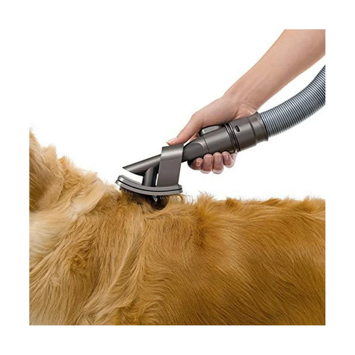 Pet Grooming Kit , Dog Brush Hair Vacuum Attachment for Dyson V7/8/10/12/15, with Extension Hose and Trigger Lock