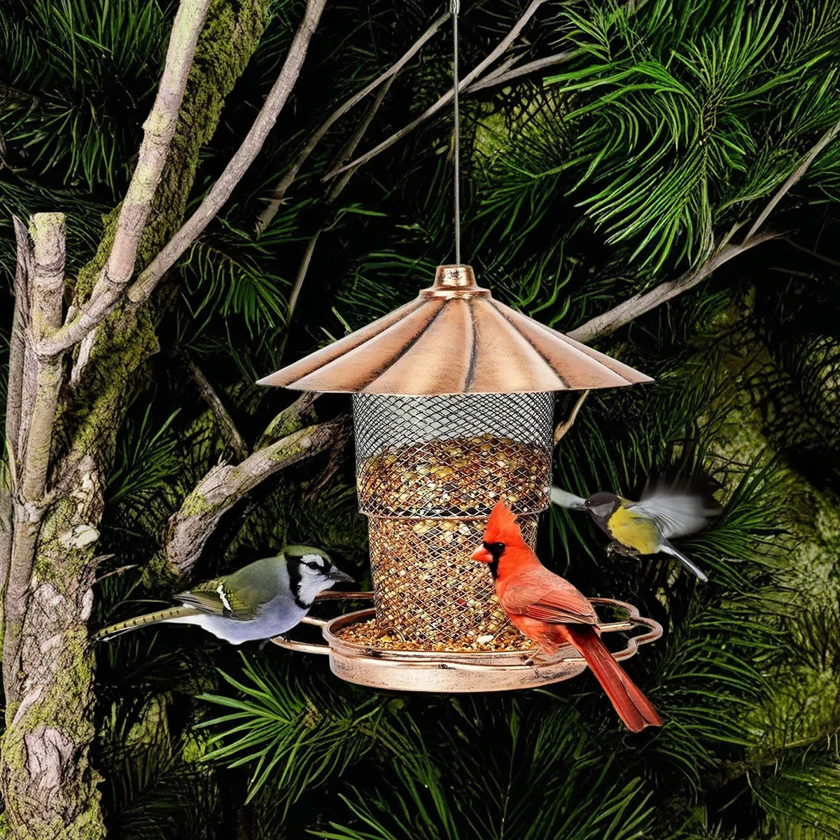 

Bird Feeder with Lid accesorios para pajaros Birds cage cages & accessories house birds accessories guinea pigs accessory