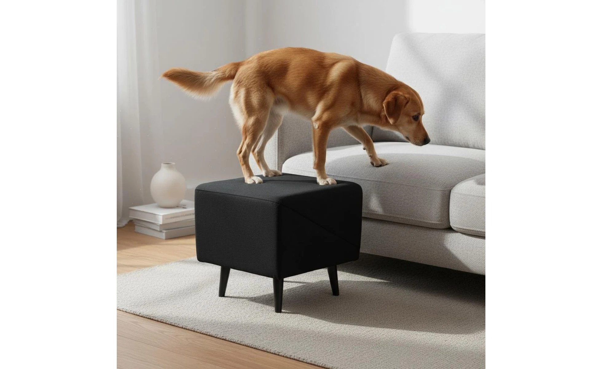 Dog Stair Ramp Combo 2-in-1 Foldable Dog Ramp Wooden Pet Step Stool Non-Slip Stable Base for Small Dogs Dog Stair Ramp Combo 2-in-1 Foldable Dog Ramp Wooden Pet Step Stool Non-Slip Stable Base for Small Dogs