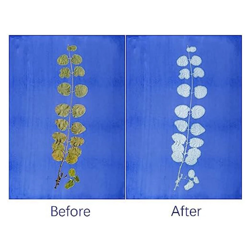 30 Sheets Sun Print Paper Kits Cyanotype Paper Kit A4 Nature Printing Solar For Kids Adults DIY Art Crafts Project