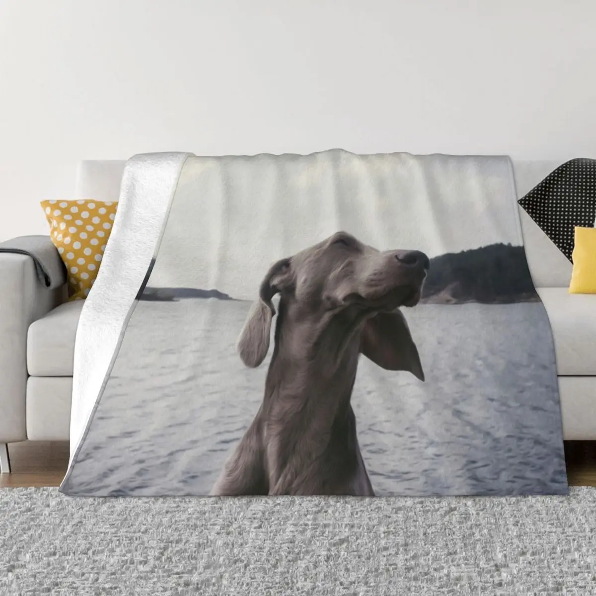 Weimaraner Breed Dog Animal Lake Water Throw Blanket Luxury St Bed linens For Baby Extra Large Throw Blankets