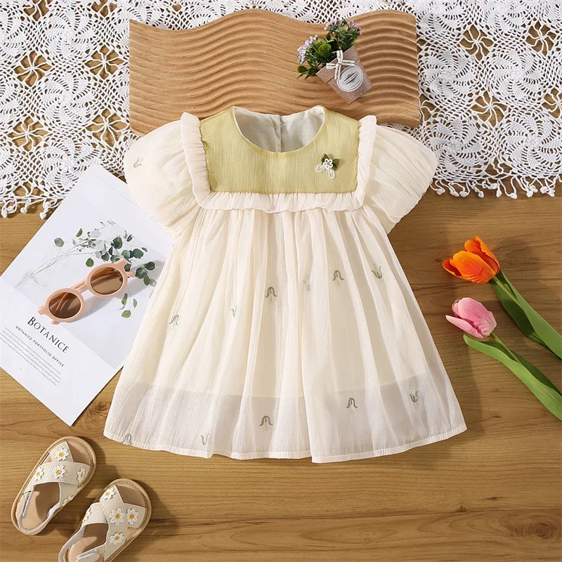 (0-3 Years Old) Girl Baby Girl Mesh Lace Embroidered Short Sleeved Dress Girl Cute Princess Dress