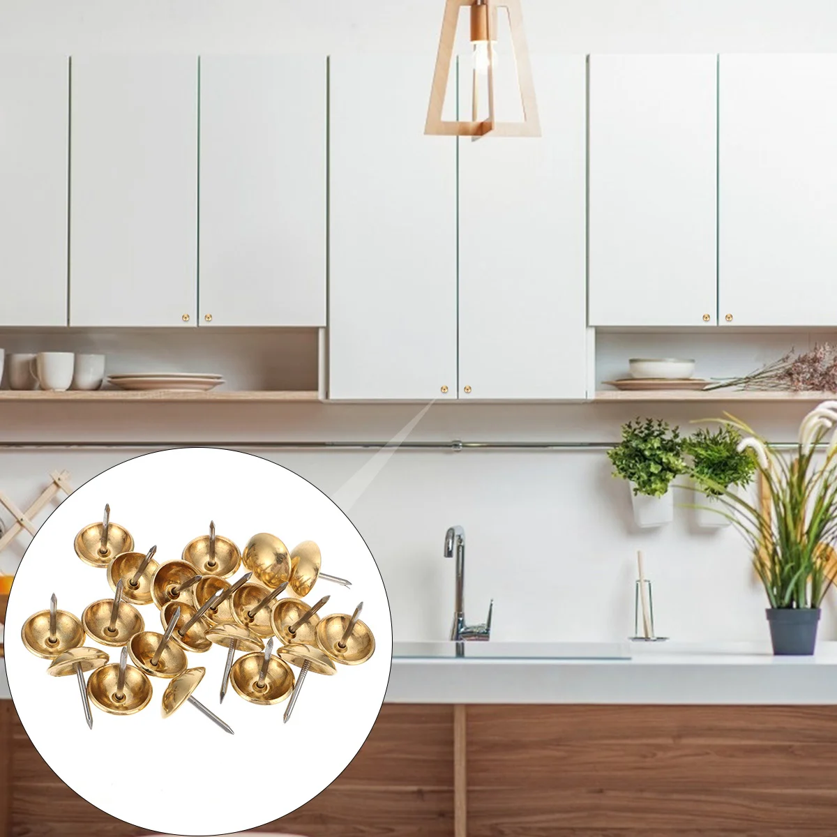 50 Pcs Upholstery Nails Furniture Pin Goldendoodle Ornament Interior Decoration Picture Frame Photo