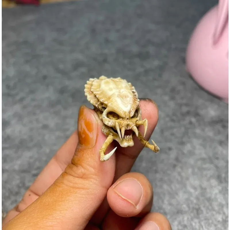 NECA Iron Warrior Prizes Accessories Alien Iron Blood Skull Cervical spine Skull Decoration 1:6 1/12 Soldier Scene Home
