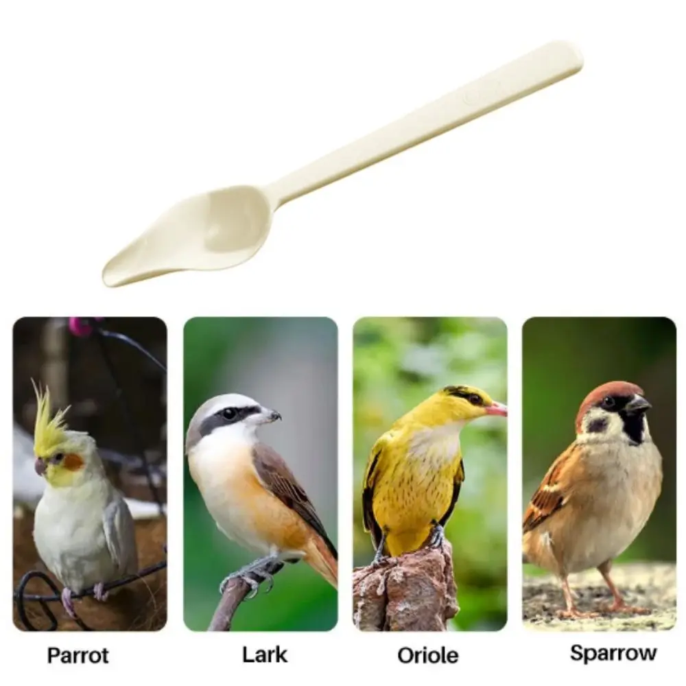 Plastic Bird Milk Powder Feeder Heat-resisting Thickened Bird Feeding Spoon Long Handle Chicks Medicine Spoon