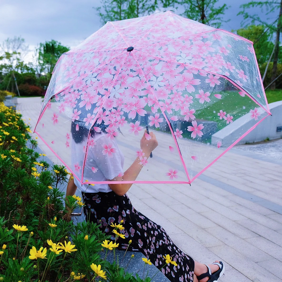 Clear PVC Umbrella Cute Three-Fold Sakura Cherry Blossom Transparent Umbrella Flowers Flora Printing, Rainproof and Windproof