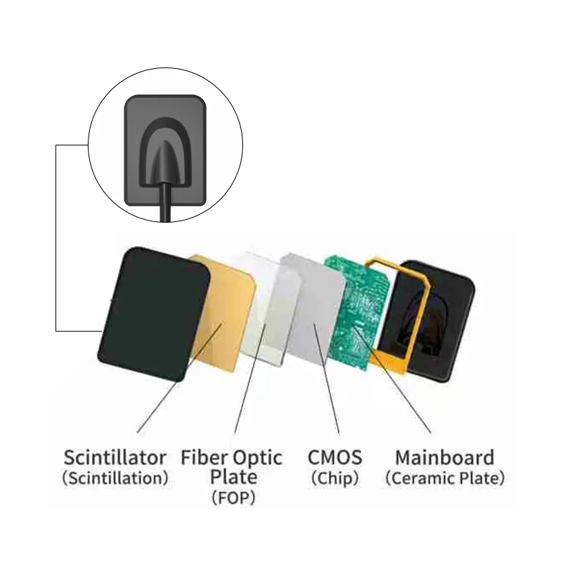 VV Dental RVG Sensor Radiovisiograph rentgenowski Czujnik cyfrowy Poręczny system obrazowania wewnątrzustnego HDR500C/600C Narzędzia stomatologiczne