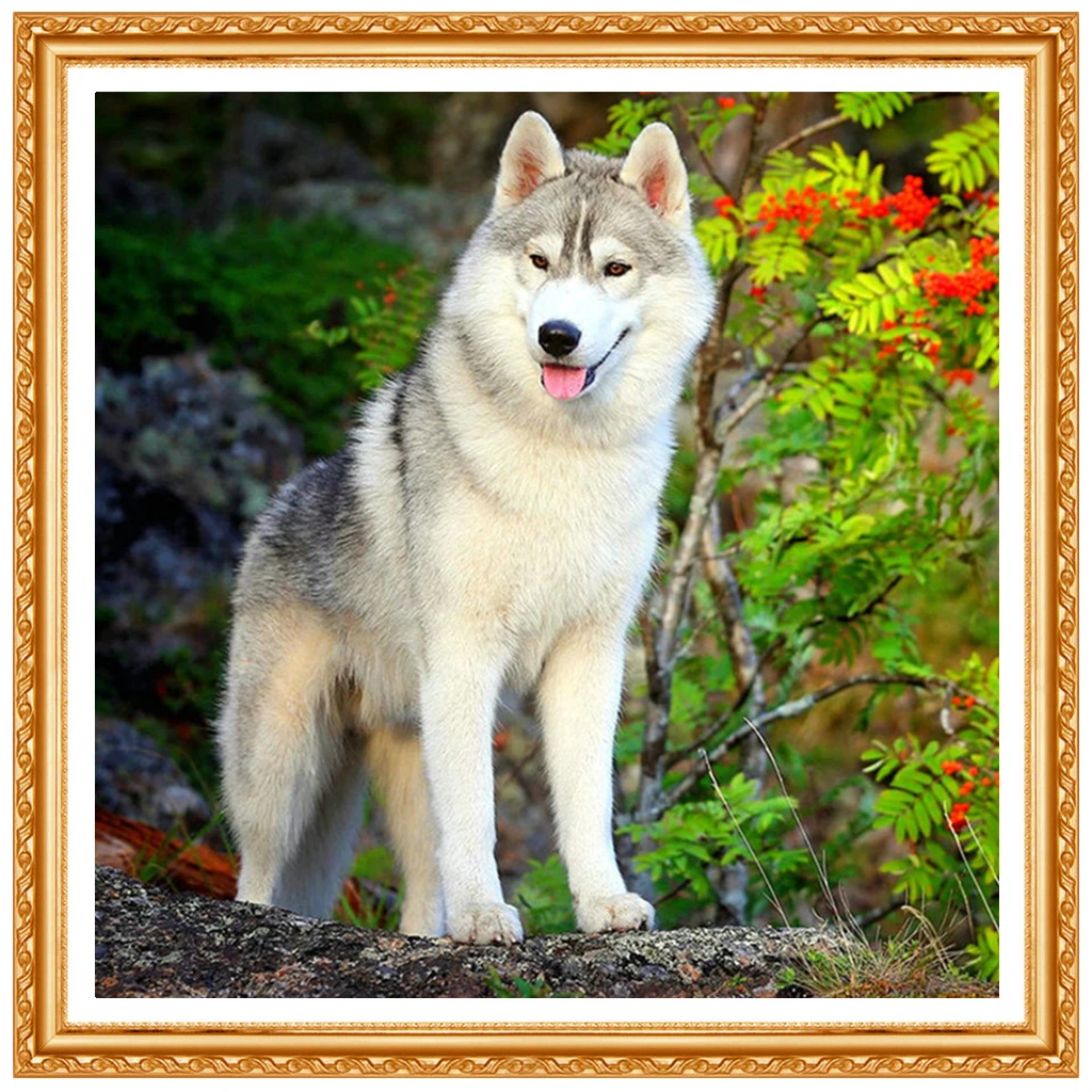 winter dog full square Diamond  snow Wolf 3D DIY Diamond embroidery Husky Full round Diamond painting Cross stitch Wolves