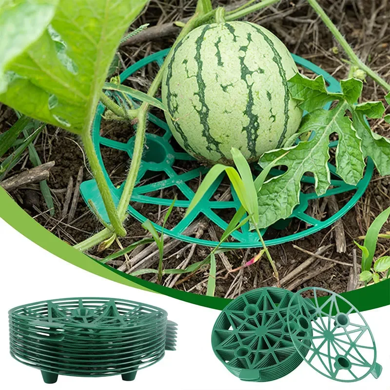 

Strawberry Support Trellis for Plants Farming Supplies Plant Stand Outdoor Garden Accessories Gardening Greenhouse Fruit Protect