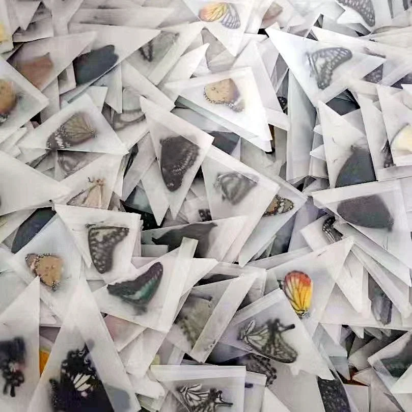 

2150 Wholesale Butterfly Decoration Painting Natural Craft Vintage Materials Christmas Decoration Gifts for DIY Home Decor Party