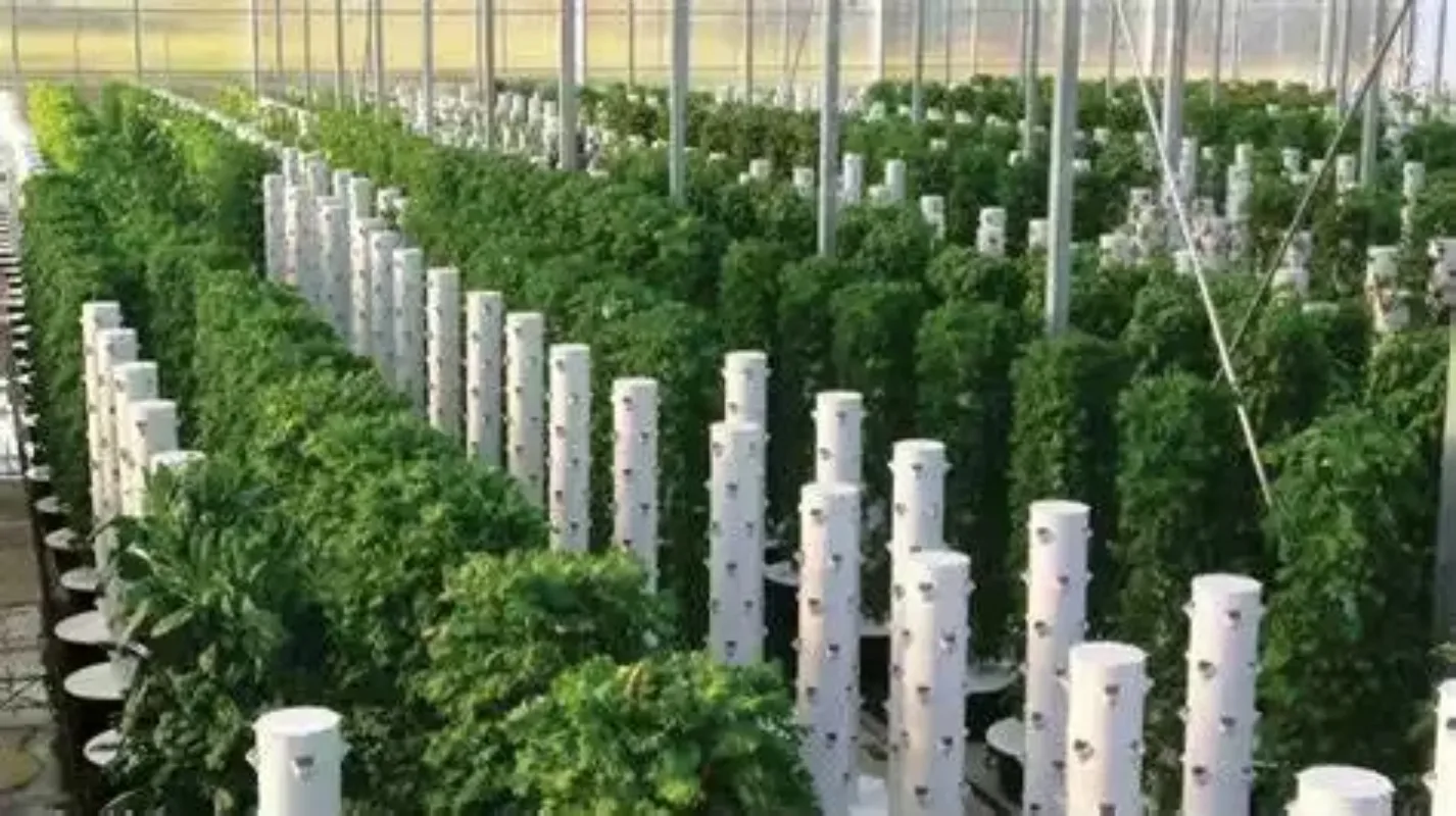 

Vertical Tower Farming Use for Agricultural Greenhouses Equipment Hydroponic System
