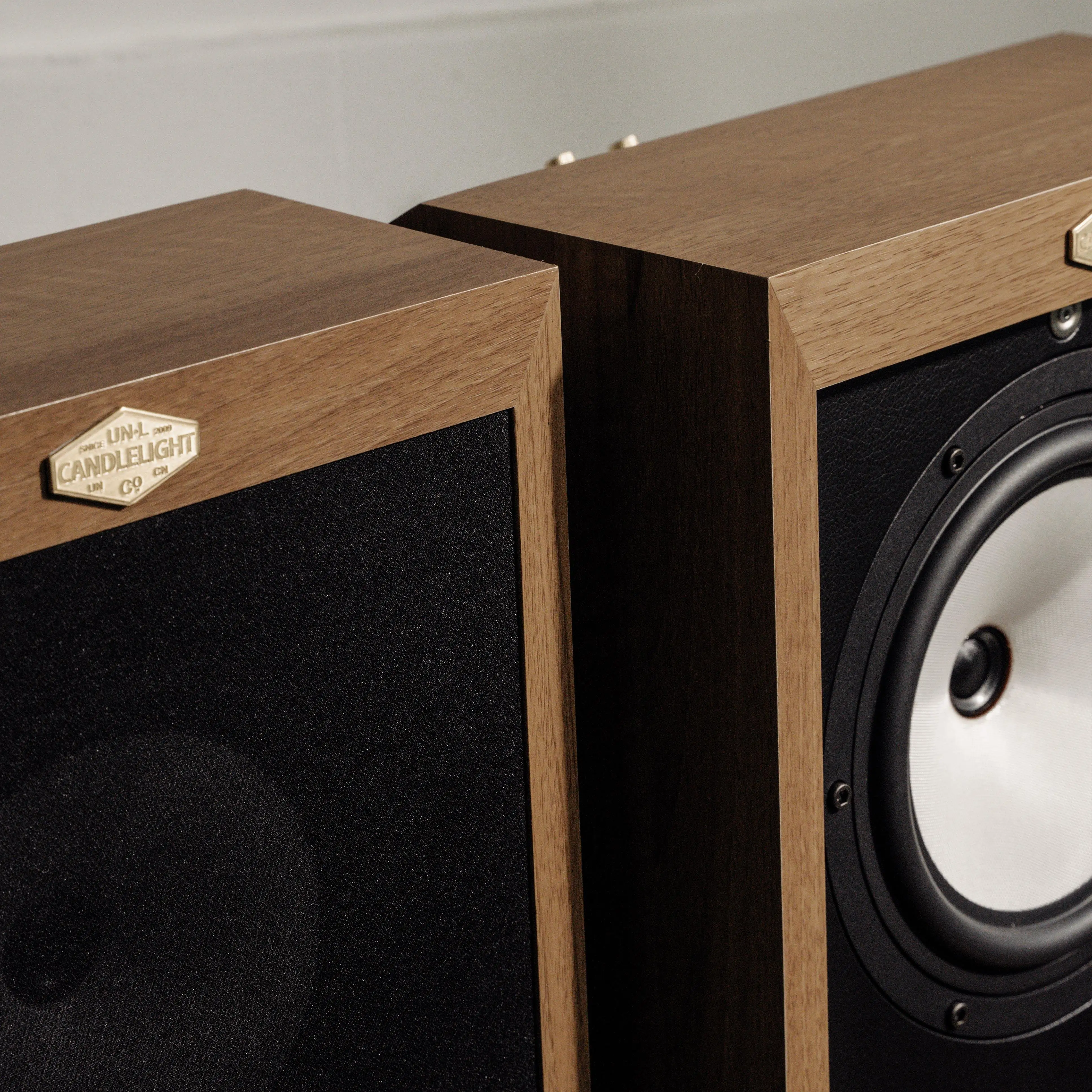 Desktop Monitor Coaxial Full-range Audio Transparent and Sweet, Classic 81S 8-Inch Fever Speaker HIFI Bookshelf Box