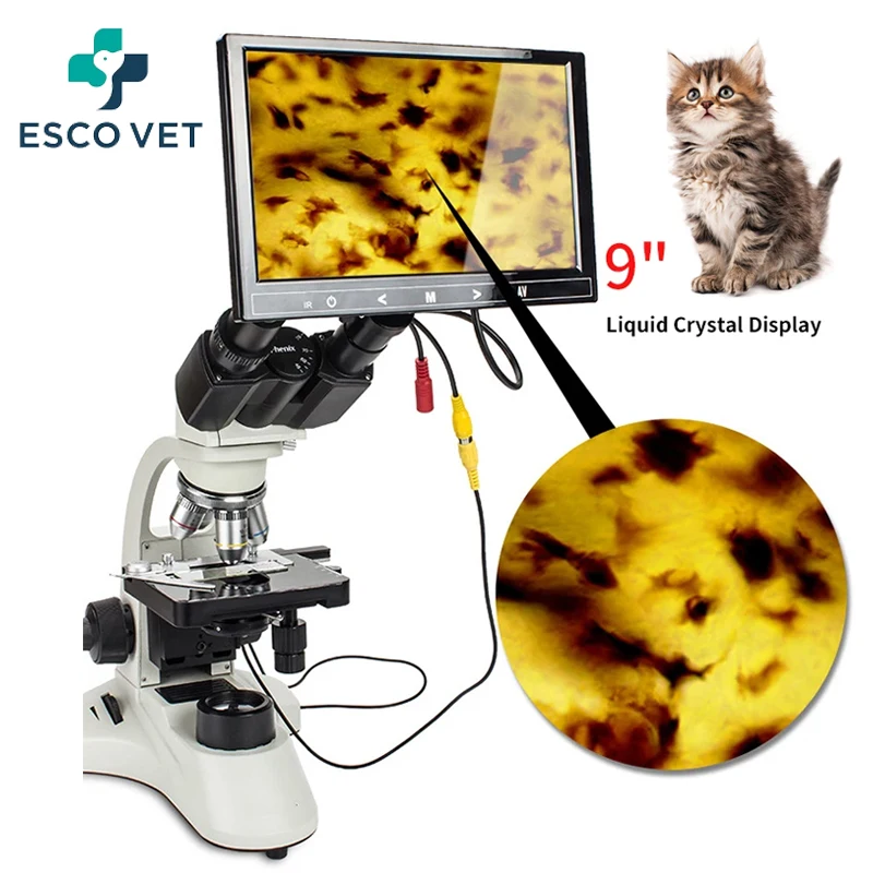 

2024 Hot Sale Medical Biological Sperm Microscope Electron Lab Binocular Industrial Microscope With Camera