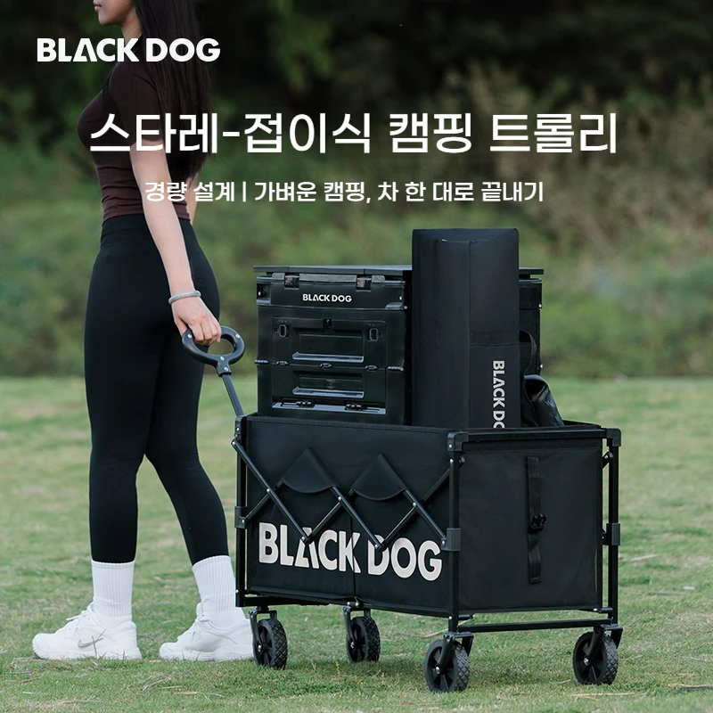 Black Dog 1 Piece B…