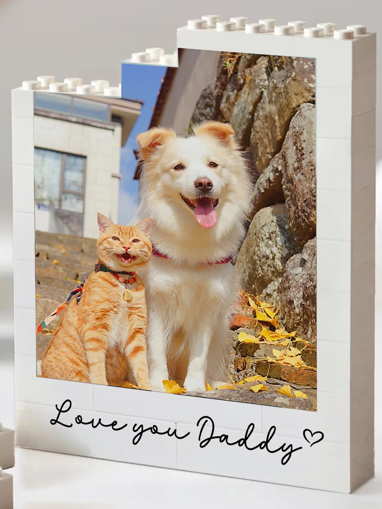 1PC Custom Pet Building Blocks - Personalized PMMA DIY Blocks with Name Custom, Creative Laser Engraved Unique Gift for Pet Love image 3
