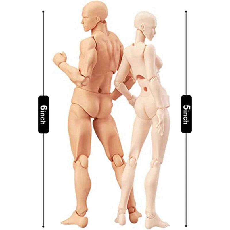 Body Doll, Artists Manikin Blockhead Jointed Mannequin Drawing Figures Male+Female Set (Skin Color)