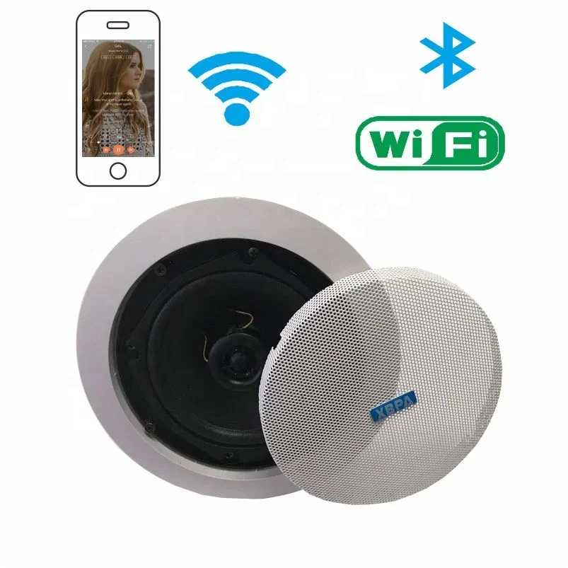 WiFi Bluetooth Speaker (wall Or Ceiling WIFI Bluetooth Speaker) Home Theater 2.1 And 5.1 Wireless Speaker