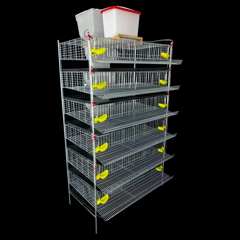 Automatic Quail Cage, Vertical Stackable Layer With Feeder Waterer & Egg Collector, Manure Cleaning System For Farming Equipment