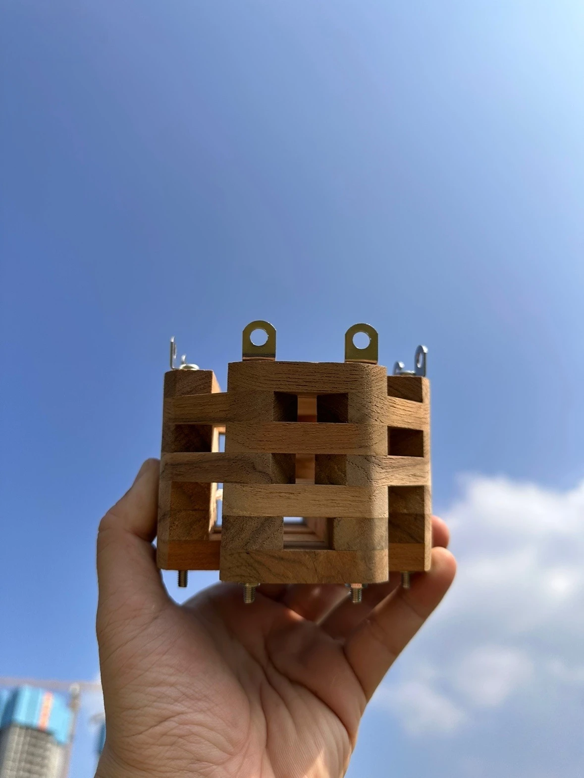 إطار خشبي أصيص زهور بوعاء، وعاء زهور بإطار، أوركيد، بانداي، قرش، وعاء زراعة