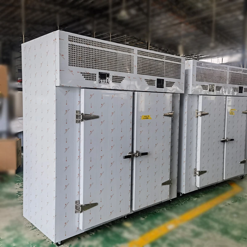 Customized 36 Trays Double Door Trolley Blast Freezer -76°C Quick Freeze Auto Defrost High Quality for Food Processing