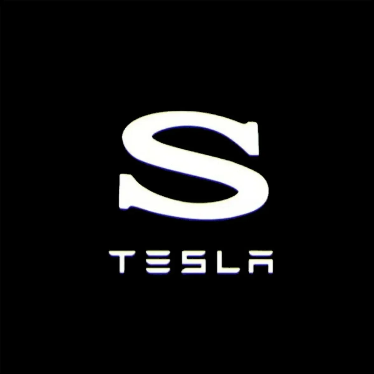 2/4 stuks Auto Deur LED Logo Projector Lampen HD Welkomslicht 3D Laser Ghost Shadow Licht voor Tesla Model Y 3 S X Auto Accessoire