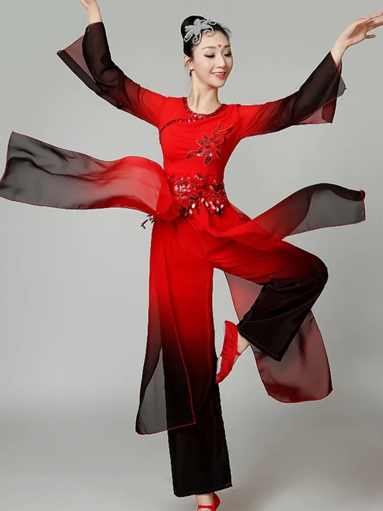 Traditional Classical dancewear chinese folk dance costume for women Water Sleeve dress Yangko Clothing Ancient pant skirt hanfu