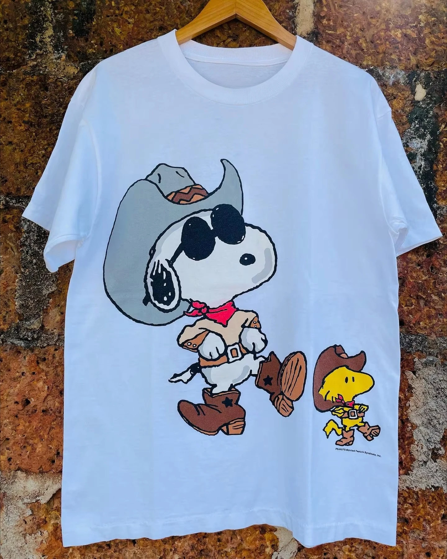 

Новинка лета 2029, футболка PEANUTS Snoopy с мультяшным рисунком, футболка с короткими рукавами в стиле комиксов Snoopy для мужчин и женщин, уличный трендовый топ с короткими рукавами