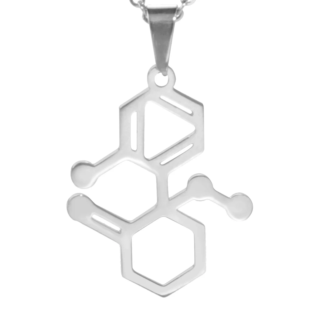 Dreamtimes Dopamine Molecule Necklaces Fashion Stainless Steel Necklace For Women Men Chemical Formula Pendant Graduation Gifts